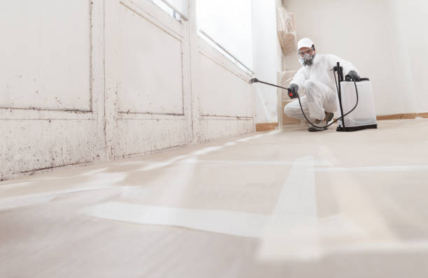 24/7 Emergency Attic Mold Remediation experts in Feasterville Trevose, PA